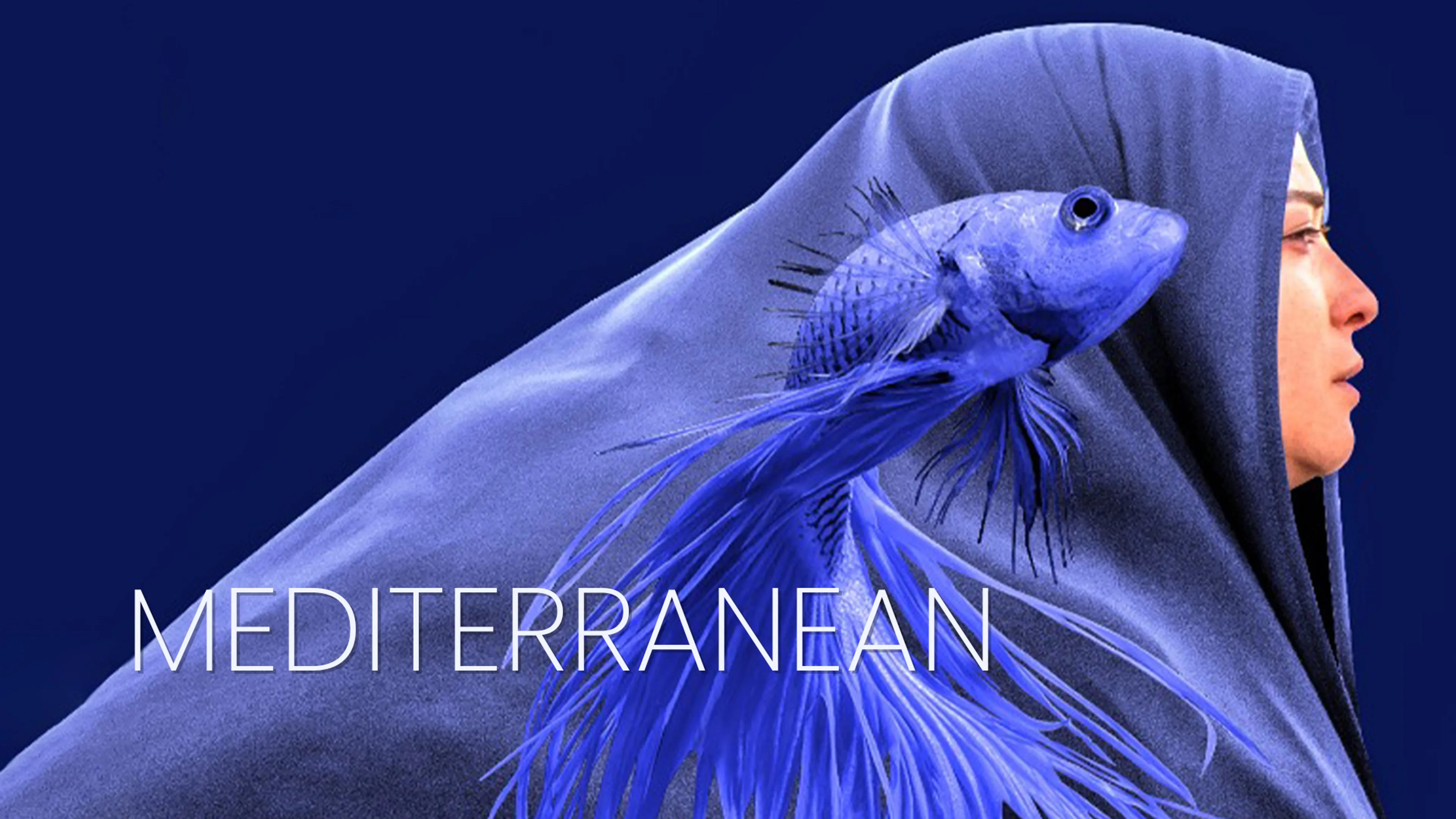 Mediterranean poster